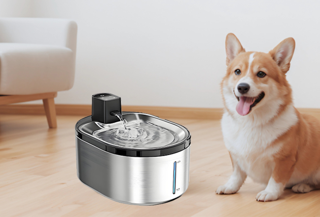 Pet Water Fountain